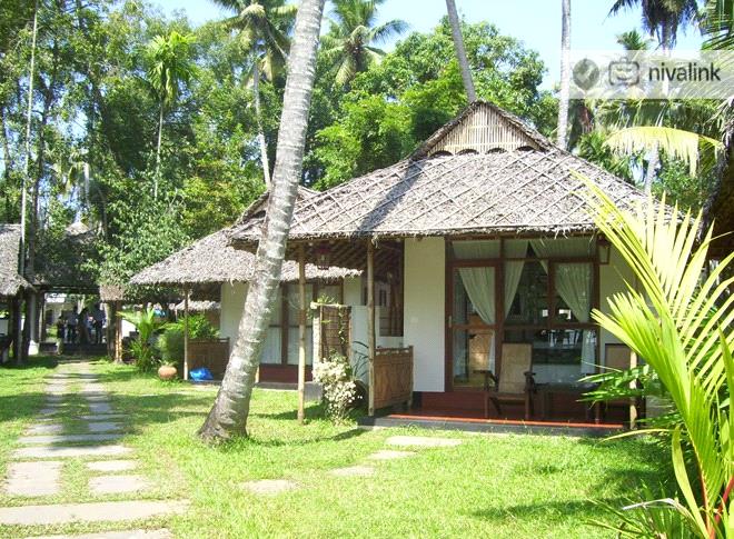 Dream land resorts