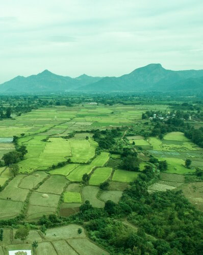 farmlands real estate
